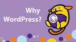 Why WordPress?