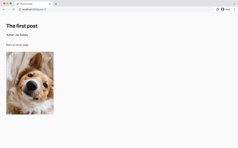 A screenshot of "http://localhost:8000/post-1/" in a web browser. The individual post page for "The first post" is shown, together with a corgi dog looking at the camera. The dog is smiling.